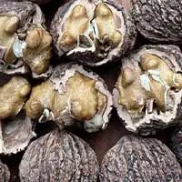 Glucomannan